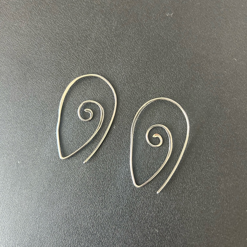 Silver earrings. Bought in Asheville NC at Elementality.